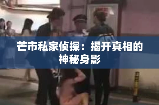 芒市私家侦探：揭开真相的神秘身影