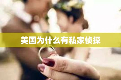 美国为什么有私家侦探
