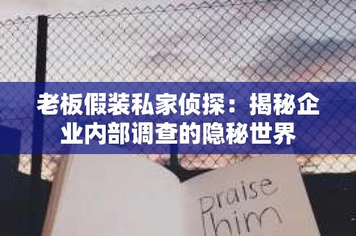 老板假装私家侦探：揭秘企业内部调查的隐秘世界