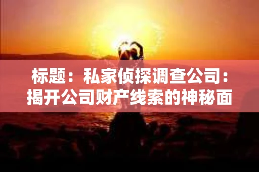 标题：私家侦探调查公司：揭开公司财产线索的神秘面纱