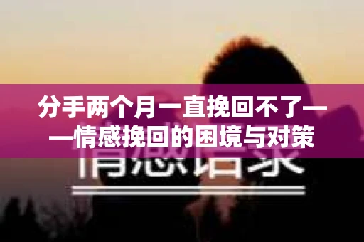 分手两个月一直挽回不了——情感挽回的困境与对策