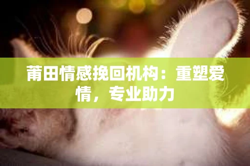 莆田情感挽回机构：重塑爱情，专业助力