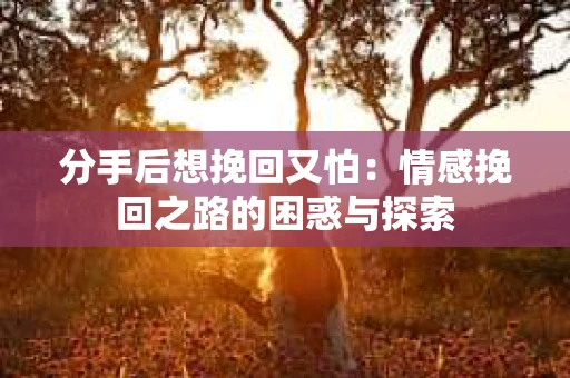 分手后想挽回又怕：情感挽回之路的困惑与探索