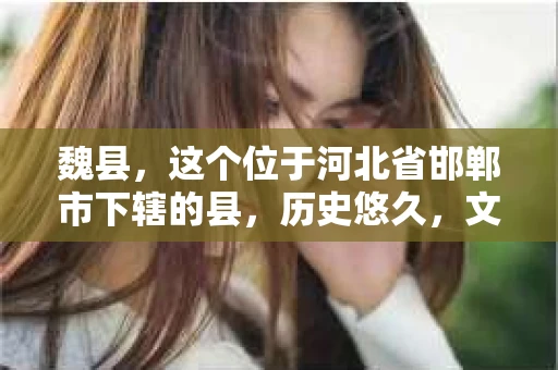 魏县，这个位于河北省邯郸市下辖的县，历史悠久，文化底蕴深厚。但在这个看似平静的小县城里，你是否会好奇，有没有私家侦探的存在呢？今天，我就来和大家聊聊这个话题。