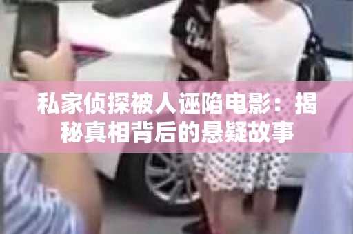 私家侦探被人诬陷电影：揭秘真相背后的悬疑故事