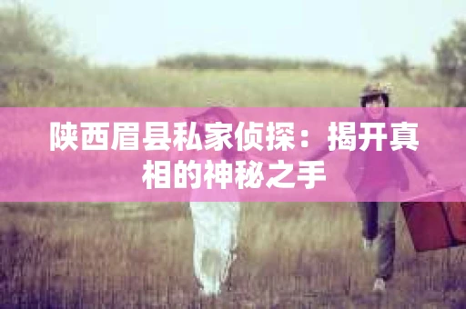 陕西眉县私家侦探：揭开真相的神秘之手