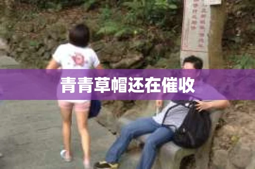 青青草帽还在催收