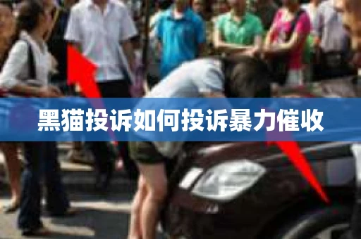 黑猫投诉如何投诉暴力催收