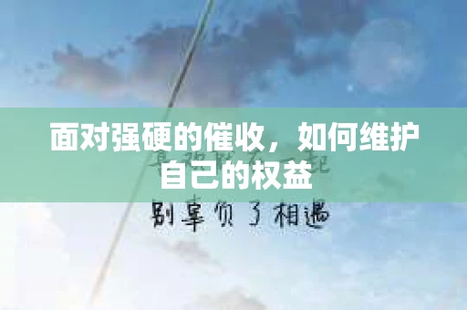 面对强硬的催收，如何维护自己的权益