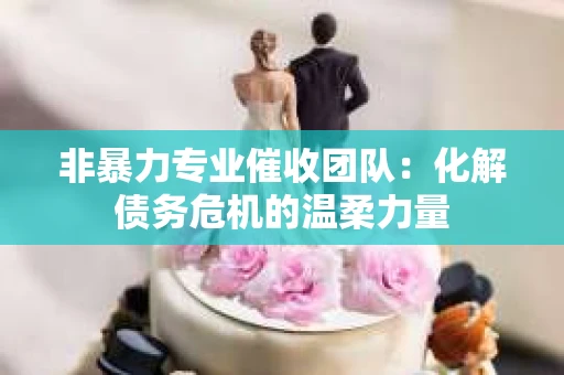 非暴力专业催收团队：化解债务危机的温柔力量