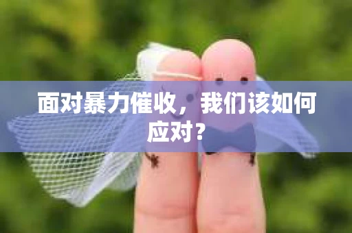 面对暴力催收，我们该如何应对？