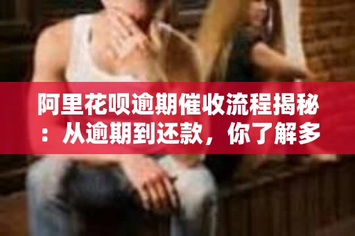 阿里花呗逾期催收流程揭秘：从逾期到还款，你了解多少？