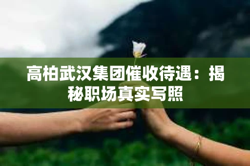 高柏武汉集团催收待遇：揭秘职场真实写照