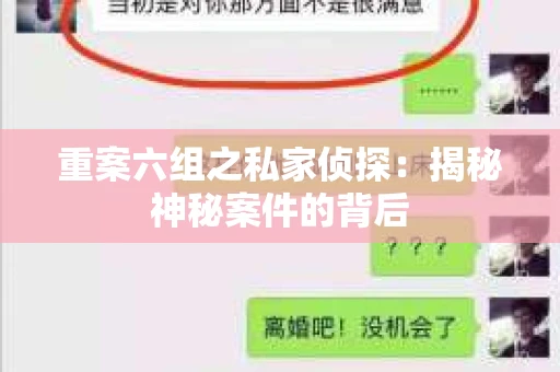 重案六组之私家侦探：揭秘神秘案件的背后