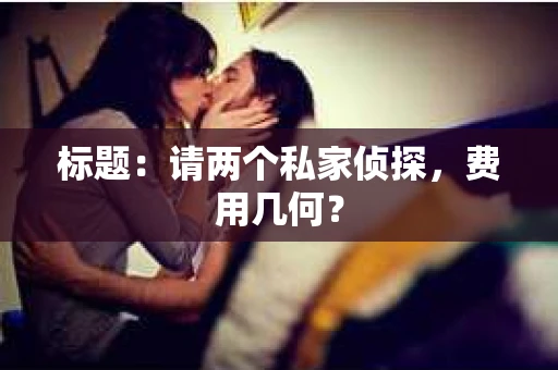 标题：请两个私家侦探，费用几何？