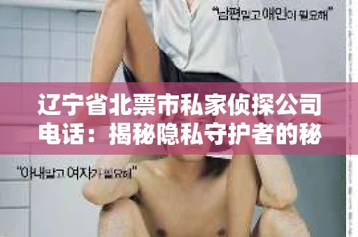 辽宁省北票市私家侦探公司电话：揭秘隐私守护者的秘密热线