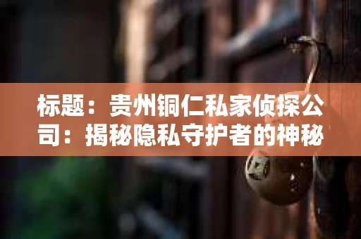 标题：贵州铜仁私家侦探公司：揭秘隐私守护者的神秘世界