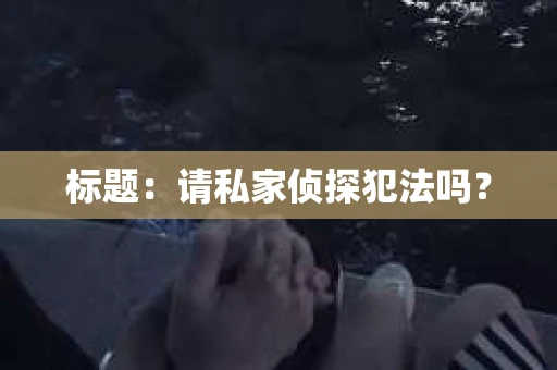 标题：请私家侦探犯法吗？