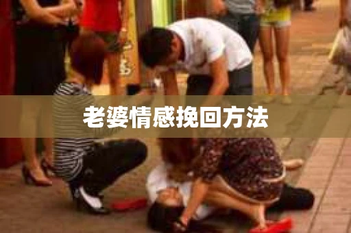 老婆情感挽回方法