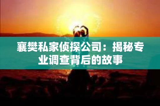 襄樊私家侦探公司：揭秘专业调查背后的故事