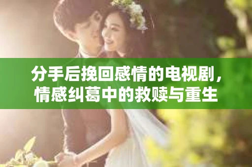 分手后挽回感情的电视剧，情感纠葛中的救赎与重生