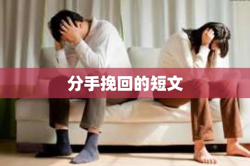分手挽回的短文